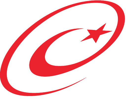 e-Devlet